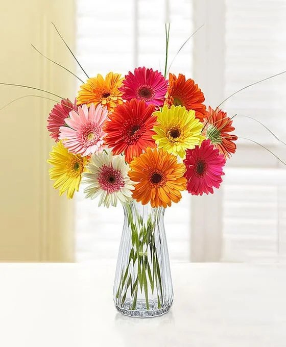 Ramo de Gerberas Variadas para el día de la madre en Sevilla